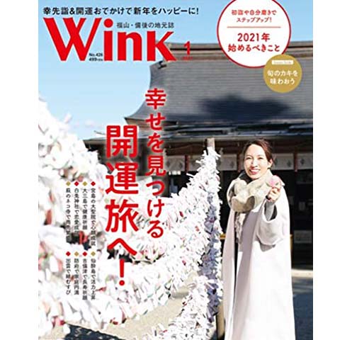 WINK備後2017.1